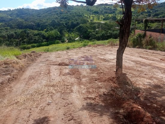 lote-venda-pimentas-betim-mg--1096120