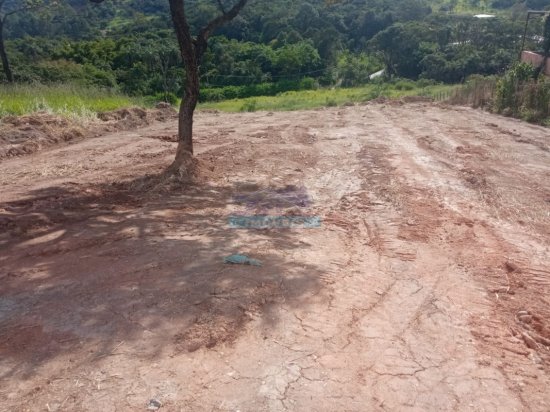 lote-venda-pimentas-betim-mg--1096118