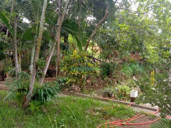 terreno-venda-centro-betim-mg-1105128