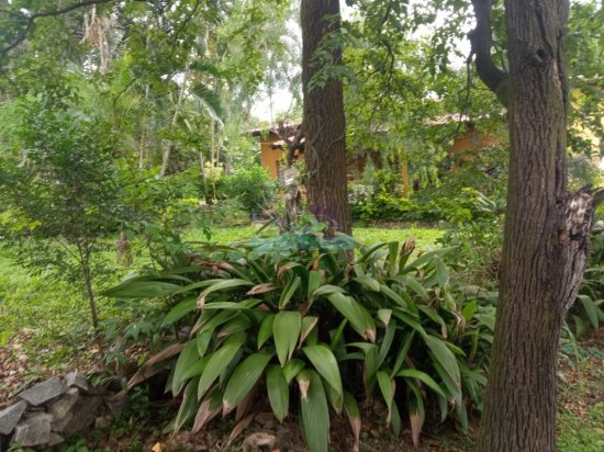terreno-venda-centro-betim-mg-1105130
