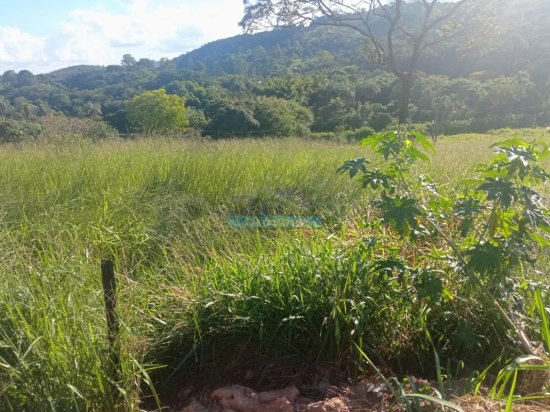 lote-venda-pimentas-betim-mg--1098151