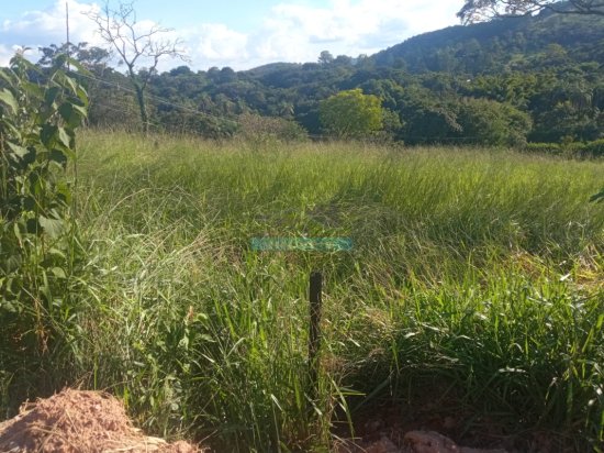lote-venda-pimentas-betim-mg--1098153