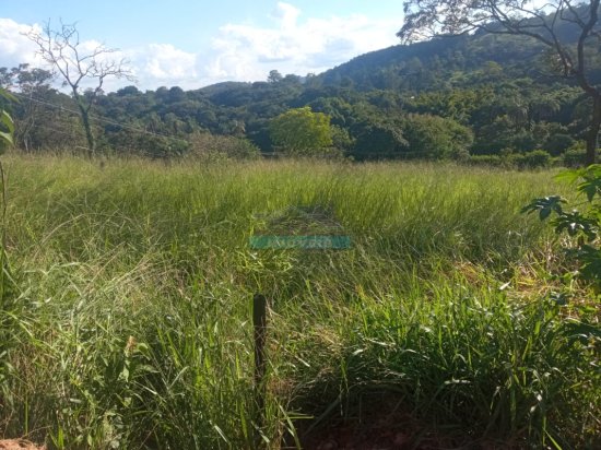 lote-venda-pimentas-betim-mg--1098154