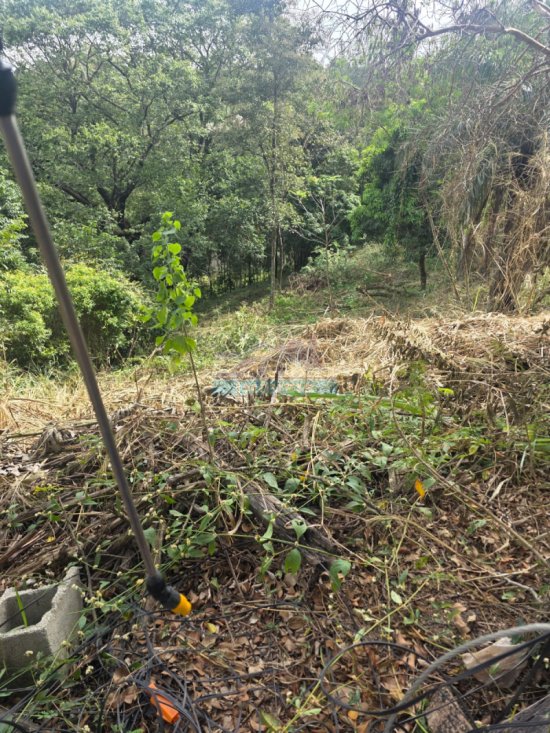 lote-venda-arquipelago-verde-betim-mg--1107424