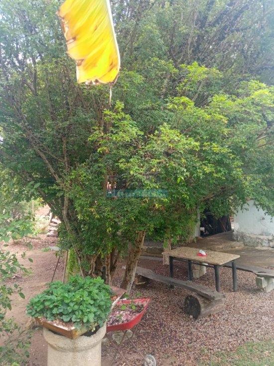 chacara-venda-santo-afonso-betim-mg-1067817