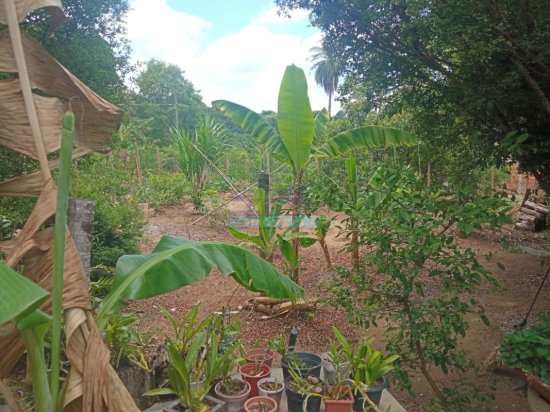 chacara-venda-santo-afonso-betim-mg-1067818