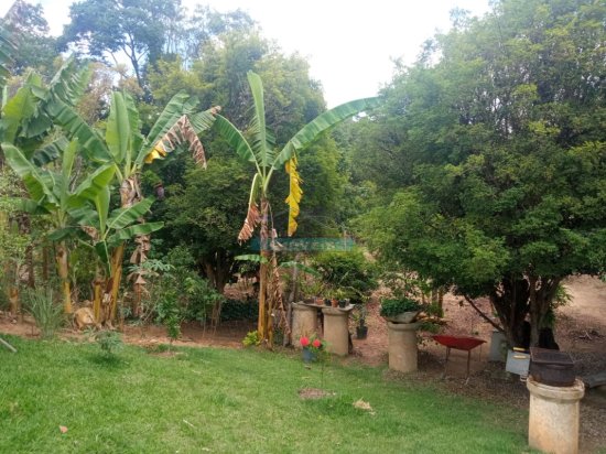 chacara-venda-santo-afonso-betim-mg-1067819