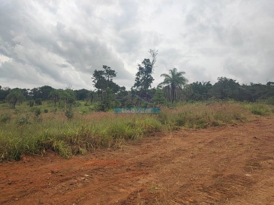 lote-venda-pimentas-betim-mg-1108344