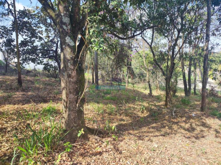lote-venda-quintas-do-godoy-betim-mg-1131492