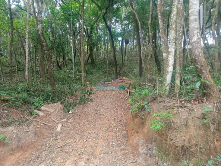 lote-venda-pimentas-betim-mg--1145951