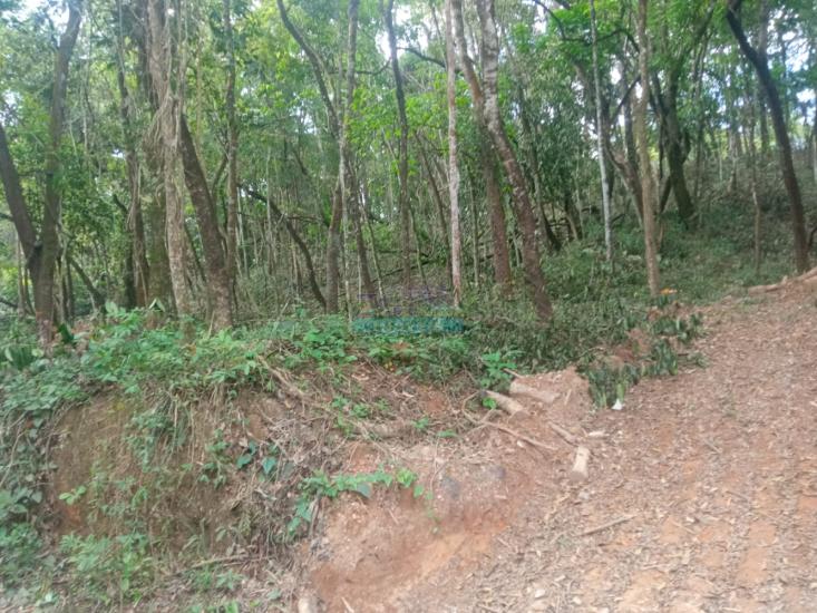 lote-venda-pimentas-betim-mg--1145953