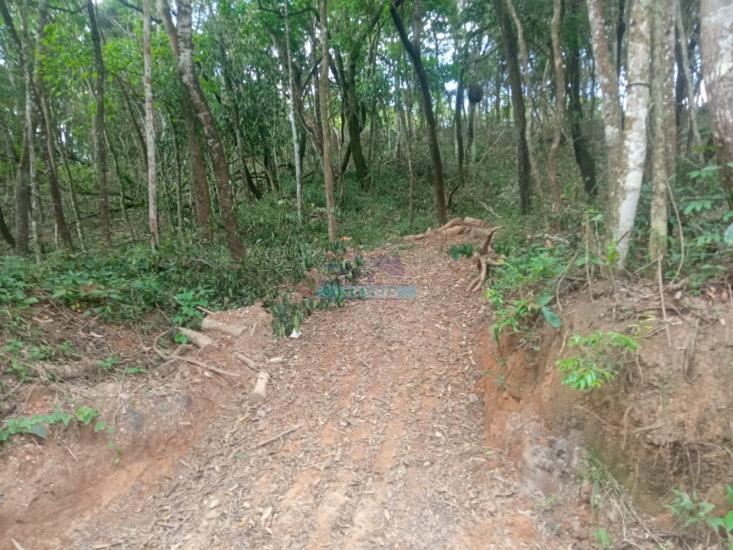 lote-venda-pimentas-betim-mg--1145956