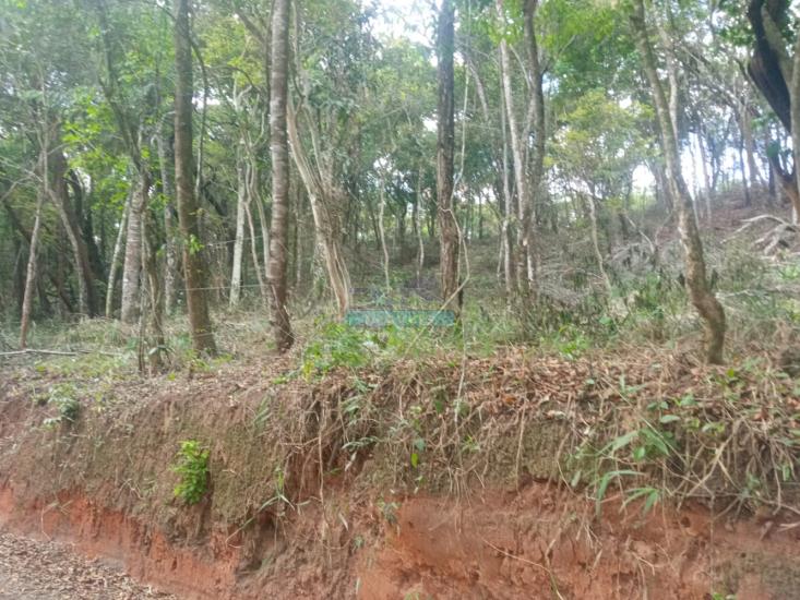 lote-venda-pimentas-betim-mg--1145957