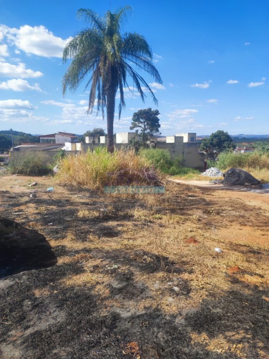 lote-venda-paqueta-betim-mg--1101975